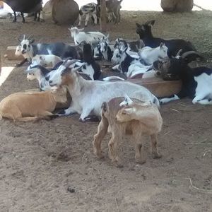 Meet your Posher, Monica